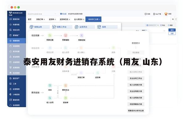 泰安用友财务进销存系统（用友 山东）