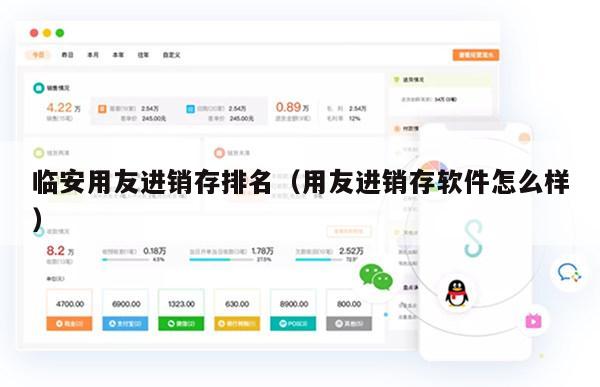 临安用友进销存排名（用友进销存软件怎么样）