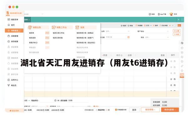 湖北省天汇用友进销存（用友t6进销存）