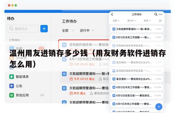 温州用友进销存多少钱（用友财务软件进销存怎么用）