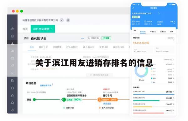 关于滨江用友进销存排名的信息