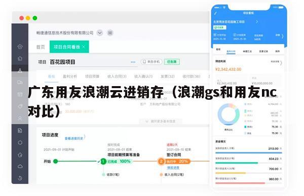 广东用友浪潮云进销存（浪潮gs和用友nc对比）