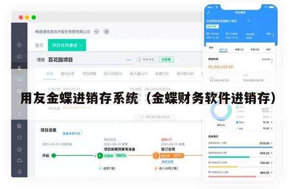 用友金蝶进销存系统（金蝶财务软件进销存）