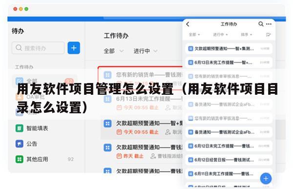 用友软件项目管理怎么设置（用友软件项目目录怎么设置）