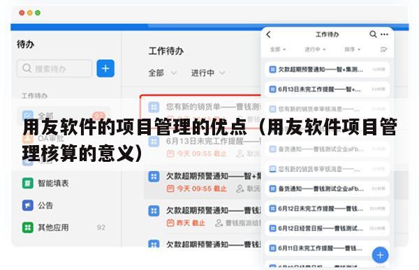 用友软件的项目管理的优点（用友软件项目管理核算的意义）