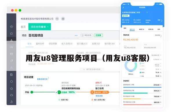 用友u8管理服务项目（用友u8客服）