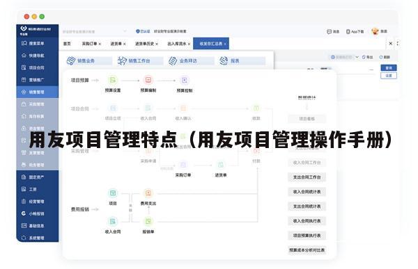 用友项目管理特点（用友项目管理操作手册）