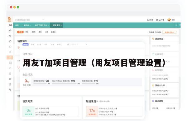 用友T加项目管理（用友项目管理设置）