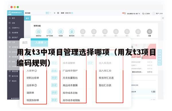 用友t3中项目管理选择哪项（用友t3项目编码规则）