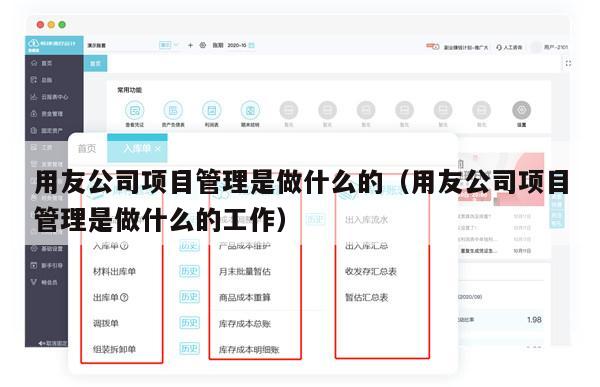 用友公司项目管理是做什么的（用友公司项目管理是做什么的工作）