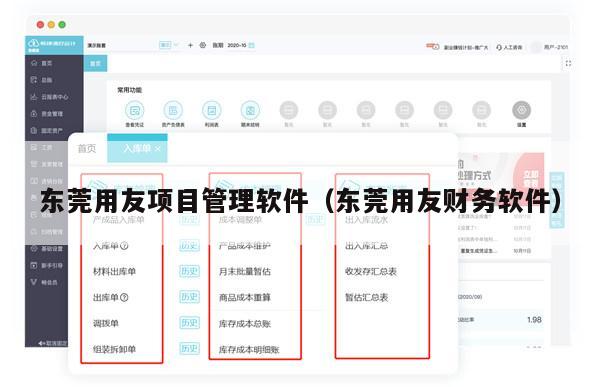 东莞用友项目管理软件（东莞用友财务软件）