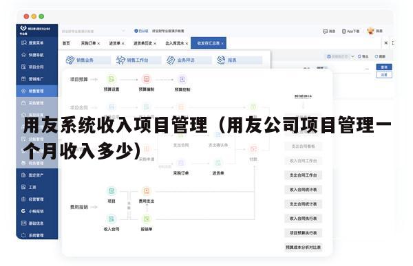 用友系统收入项目管理（用友公司项目管理一个月收入多少）