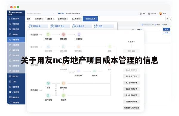 关于用友nc房地产项目成本管理的信息