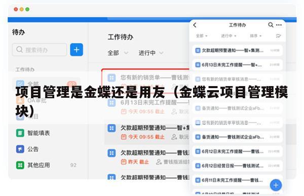 项目管理是金蝶还是用友（金蝶云项目管理模块）