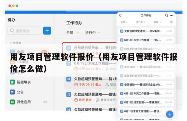 用友项目管理软件报价（用友项目管理软件报价怎么做）