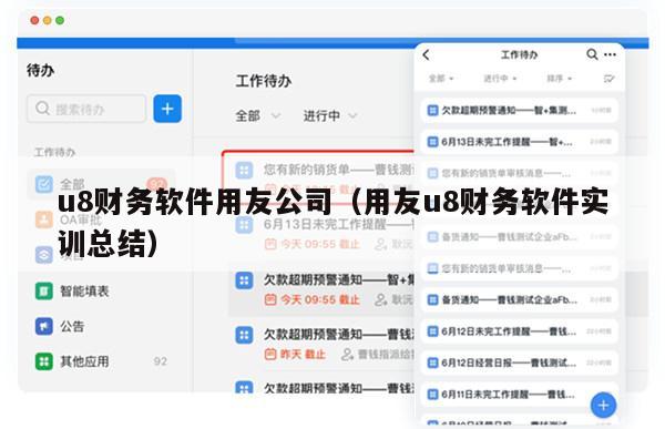 u8财务软件用友公司（用友u8财务软件实训总结）