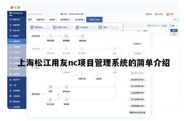 上海松江用友nc项目管理系统的简单介绍