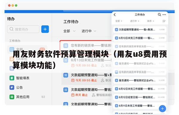 用友财务软件预算管理模块（用友u8费用预算模块功能）