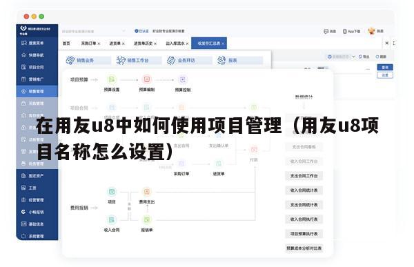 在用友u8中如何使用项目管理（用友u8项目名称怎么设置）