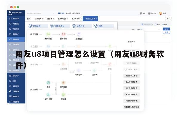 用友u8项目管理怎么设置（用友u8财务软件）