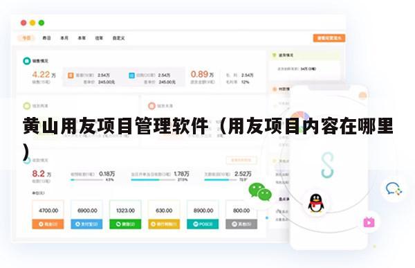 黄山用友项目管理软件（用友项目内容在哪里）