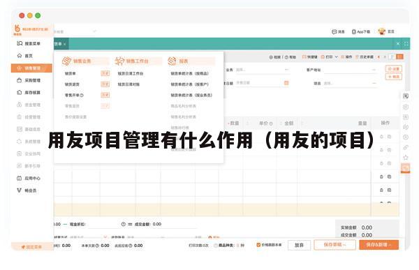 用友项目管理有什么作用（用友的项目）