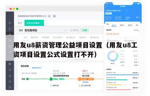 用友u8薪资管理公益项目设置（用友u8工资项目设置公式设置打不开）