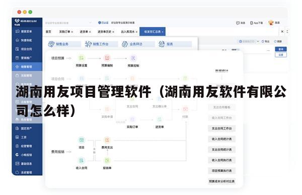 湖南用友项目管理软件（湖南用友软件有限公司怎么样）