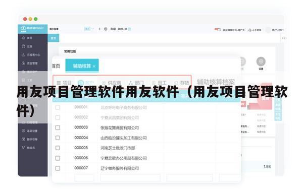 用友项目管理软件用友软件（用友项目管理软件）