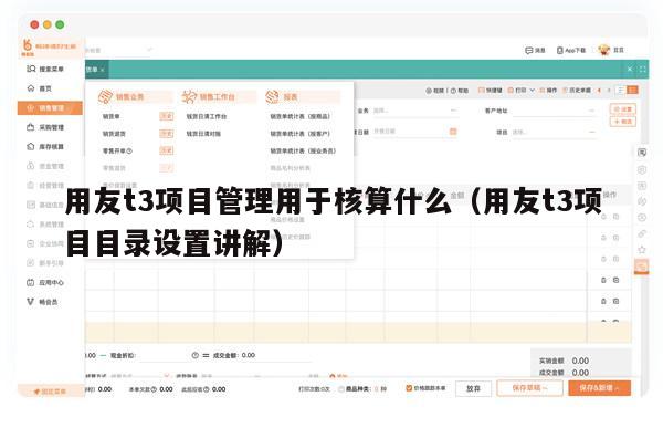 用友t3项目管理用于核算什么（用友t3项目目录设置讲解）