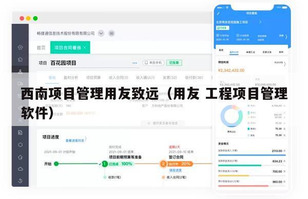 西南项目管理用友致远（用友 工程项目管理软件）