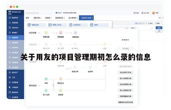 关于用友的项目管理期初怎么录的信息