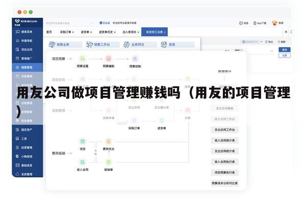 用友公司做项目管理赚钱吗（用友的项目管理）