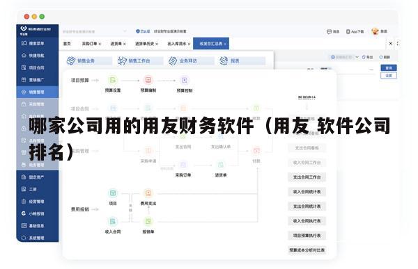 哪家公司用的用友财务软件（用友 软件公司排名）