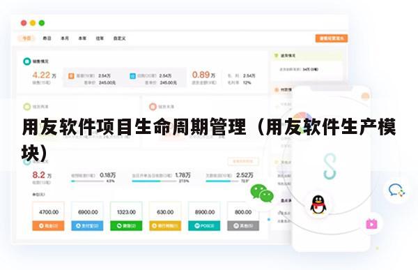 用友软件项目生命周期管理（用友软件生产模块）
