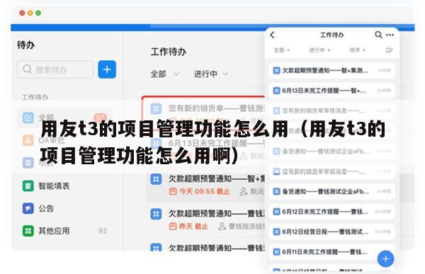 用友t3的项目管理功能怎么用（用友t3的项目管理功能怎么用啊）