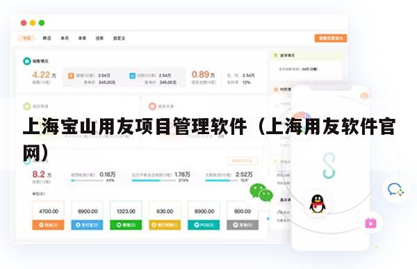 上海宝山用友项目管理软件（上海用友软件官网）