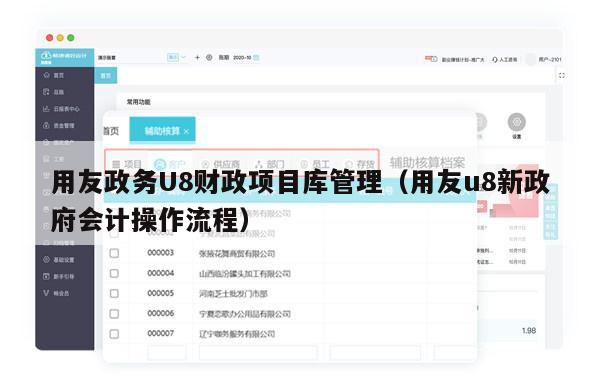 用友政务U8财政项目库管理（用友u8新政府会计操作流程）