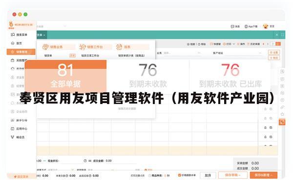 奉贤区用友项目管理软件（用友软件产业园）