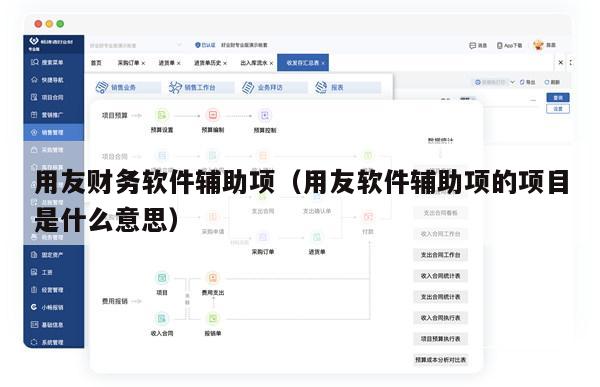 用友财务软件辅助项（用友软件辅助项的项目是什么意思）