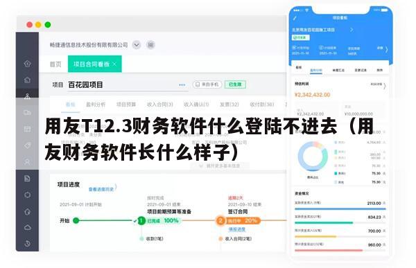 用友T12.3财务软件什么登陆不进去（用友财务软件长什么样子）