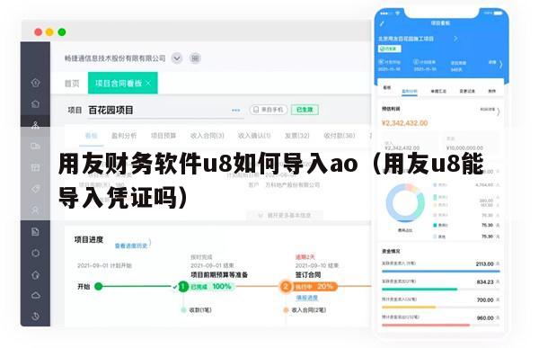 用友财务软件u8如何导入ao（用友u8能导入凭证吗）