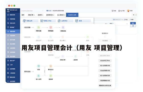 用友项目管理会计（用友 项目管理）
