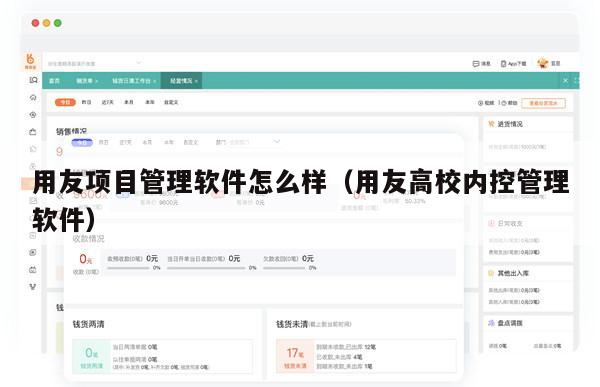 用友项目管理软件怎么样（用友高校内控管理软件）