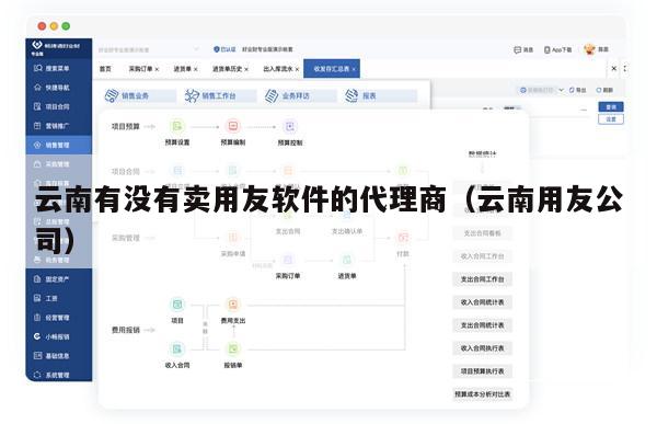 云南有没有卖用友软件的代理商（云南用友公司）