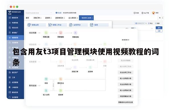包含用友t3项目管理模块使用视频教程的词条