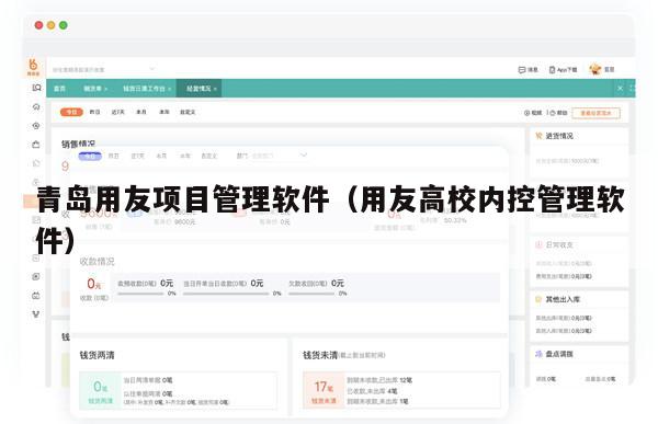 青岛用友项目管理软件（用友高校内控管理软件）