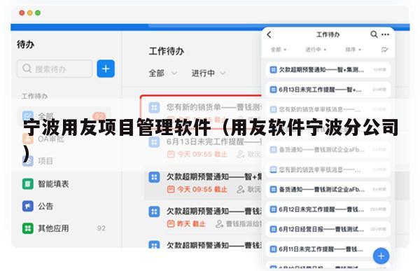 宁波用友项目管理软件（用友软件宁波分公司）