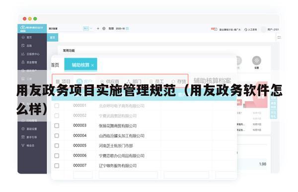 用友政务项目实施管理规范（用友政务软件怎么样）