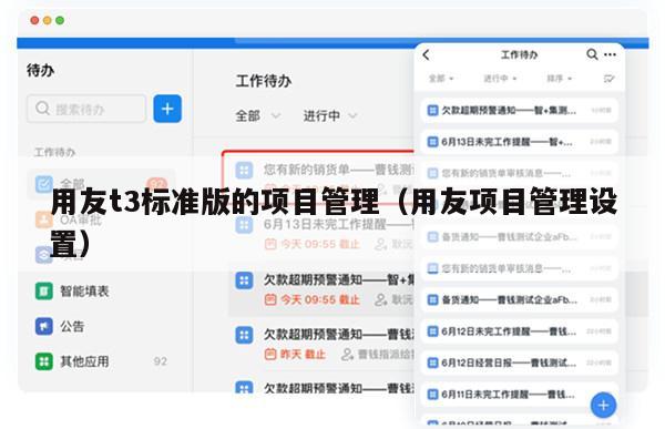 用友t3标准版的项目管理（用友项目管理设置）